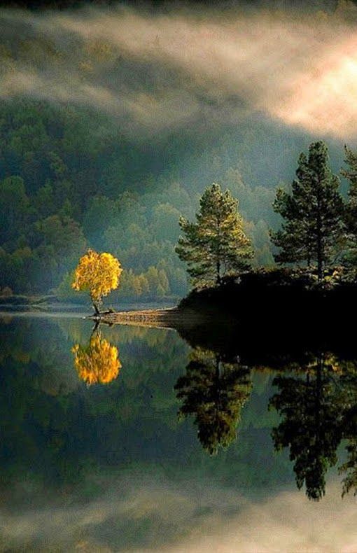 Glen Affric, Scotlan...