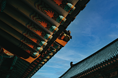 扬梦文化采集到方案背景
