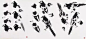 中国花鸟画资料～鸟类草虫画谱。