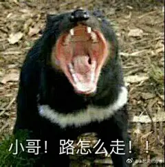 #世有张起灵#  当小哥不理你的时候，你可以使用如下表情包 ​​​​