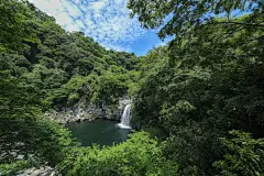 森林高清摄影素材