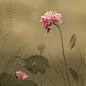 2016生态篇(38)-秀色_4
