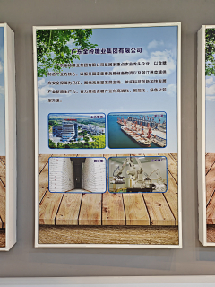 risingland采集到遂溪考察