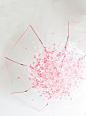 一场樱花雨 水晶伞柄 日系樱桃图案透明折叠雨伞