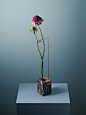 DESIGN: 'Posture Vases' di Bloc Studios - Osso Magazine