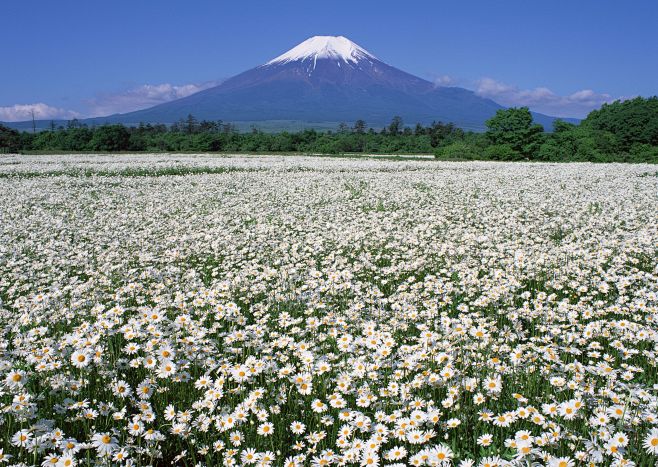 场景素材