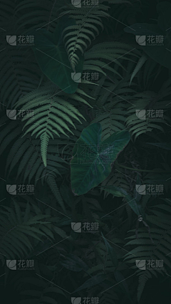MY烨哥采集到素材