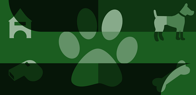 play商店功能图形横幅