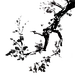 采集图片