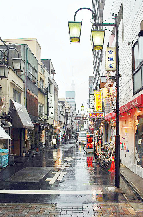 Tokyo Street, Japan