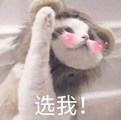 铭集采集到表情包❤