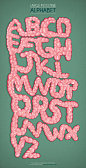 Large Intestine Alphabet : digestive system typography