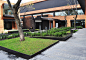 墨西哥城Coyoacán Corporate校园景观设计
