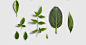 Nature Mockup: Create Websites and great designs with Nature Mockups - Wloks : Wloks Nature contains 53 beautiful icons, 49 great Mockups, 51 photos that you can combine. Every item is available in PSD.