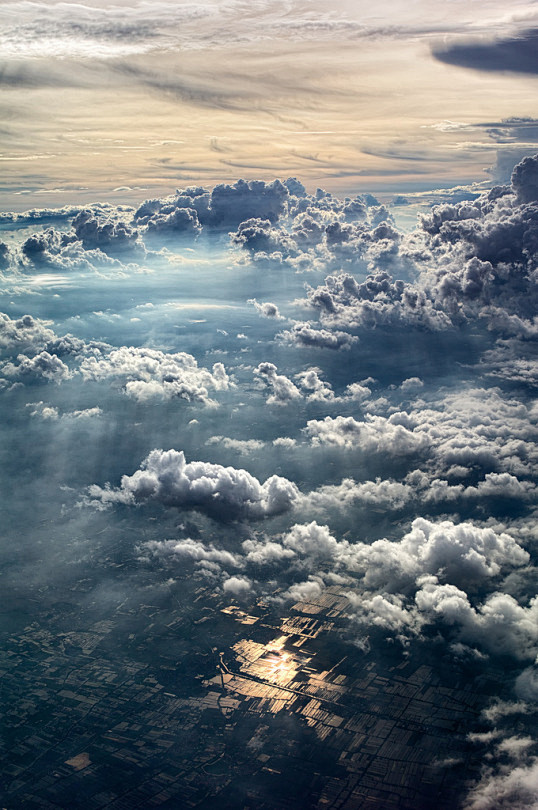 (17) Tumblr