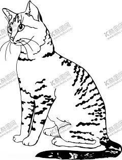 卡通手绘猫 【酷图网】猎猫科,猫耳朵,狸花猫,短毛猫,萌猫,猫科,小老虎,小猫,喵星人,土猫,白猫,黑猫,花猫,猫咪,灵猫,田园猫,瞌睡猫,猫科动物,家猫,野猫,宠物猫,沙漠猫,波斯猫,猫亚科,猫种,无毛猫,短尾猫,萌宠猫咪,卡通猫咪,宠物之家,宠物驯养,萌宠,慵懒的猫,饲养宠物,宠物圈养,宠物美容,宠物生活馆,宠物护理