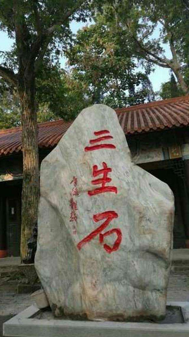 点击查看源网页