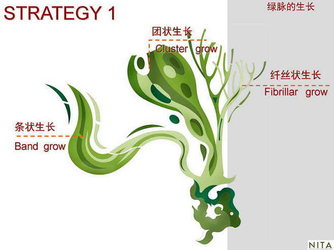 线计网—分享传递价值