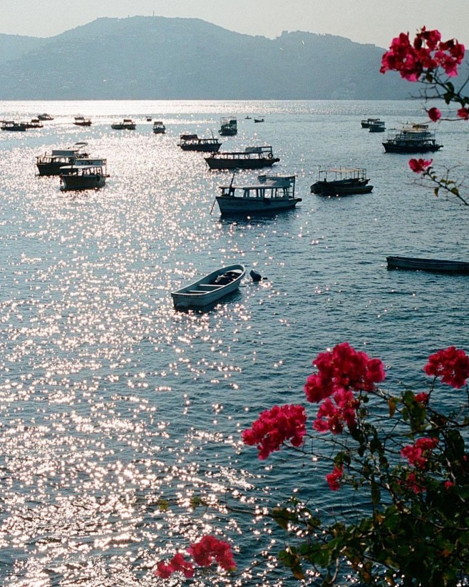 发光的海 Holly Chippinda...