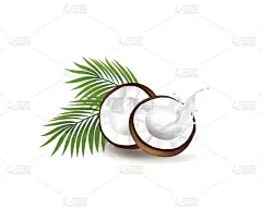 矢量,椰子,有机食品,绿色,绘画插图,牛奶,食用油,棕榈叶,饮料,湿