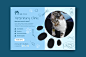 高端大气时尚宠物医院宣传海报网站单张Banner招贴PSD源文件素材-淘宝网