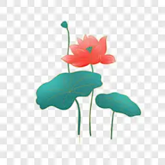 小清新古风荷花素材其他PNG图片➤来自 PNG搜索网 pngss.com 免费免扣png素材下载！