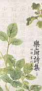 @品牌设计视觉 的个人主页 - 微博