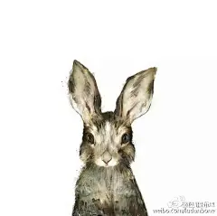 ✐有生命的水彩！插画师Hamilton清新的水彩小动物，各种萌萌哒，看后感觉心情都愉悦了。Amy Hamilton，加拿大女插画师、设计师，现居安大略。这是一组关于动物的手绘插画，作品以动物为主题，充满着梦幻般的神秘以及治愈系的色彩。O✐有生命的水彩 L【松巴版权】有生命的水彩 ​​​​
