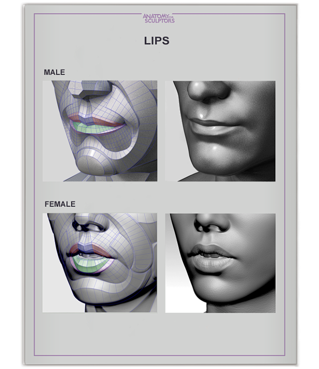 Form of The Head and...
