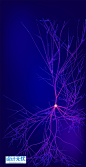 48ec193873a08df633d1f328034460b4 波浪线条光效灯光曲线海报背景模板底纹神经网络特效几何商务会议AI矢量素材