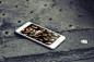 8 iPhone 6 Plus PSD Mock-Ups | Tech & ALL – PSD, Tech News, and other resources for free