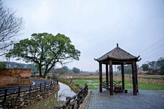 奶喵咆哮采集到美丽乡村