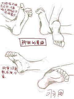 困╯﹏╰采集到脚的画法