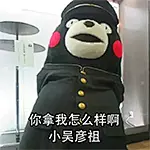 聊天斗图、表情包、情侣专用、你那我怎么样啊 小吴彦祖