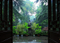 下雨园林图片-下雨园林素材-下雨园林图片下载-视觉中国VCG.COM