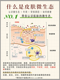 wty_loo采集到皮肤管理