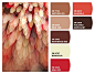 Paint colors from Chip It! by Sherwin-Williams