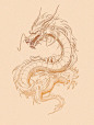 中国龙纹身手绘图