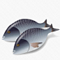 两条鱼3D食品PNG图标-觅元素51yuansu.com