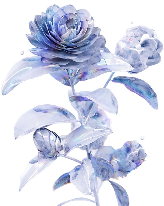 003