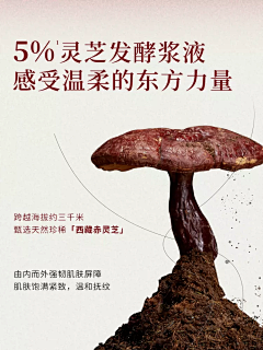 清静一趟采集到插画