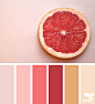 Design Seeds : Design Seeds color palettes ... posted daily for all who love color.