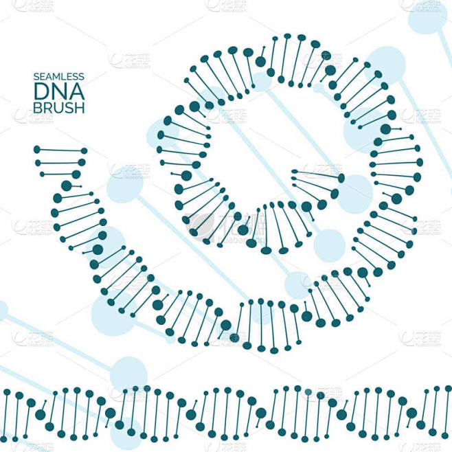 分离的人类 dna 链或基因组螺旋。结构 dna 分子无缝线和螺旋的向量例证