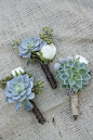 succulent boutineers-these are perfect. Especially like the twine wrapping as opposed to ribbon.