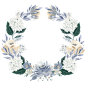 优雅水彩浪漫蓝色花卉花环边框PNG免抠素材║素材来源自购