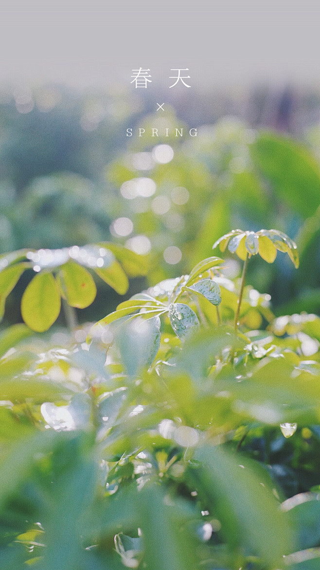 @到此为止′Here，∈点击进入主页，意...