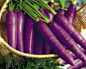  Carrots used to be Purple Color | (10 Beautiful Photos)