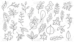 涂鸦手绘秋叶集，矢量插图，秋叶或秋叶图标，落杨，秋叶为季节性节日贺卡设计