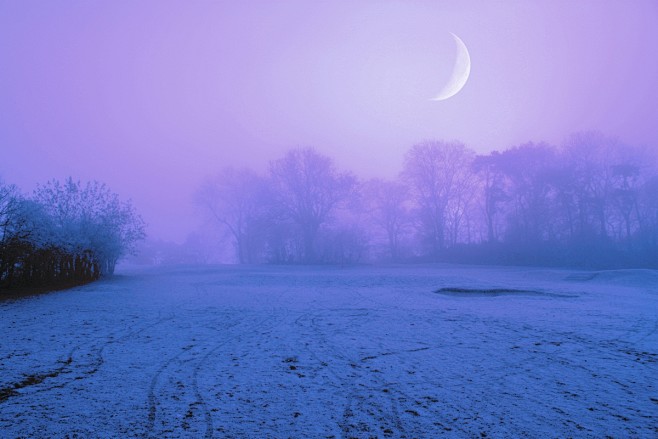 雪,雾,树木,草地,月亮,夜,紫色,冬季...