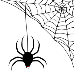 阿猫Ruby采集到范画
